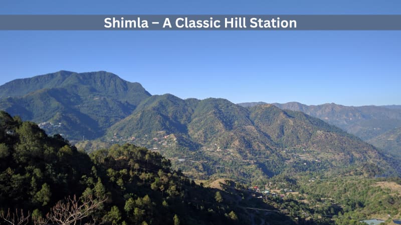 Shimla